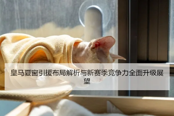 皇马夏窗引援布局解析与新赛季竞争力全面升级展望