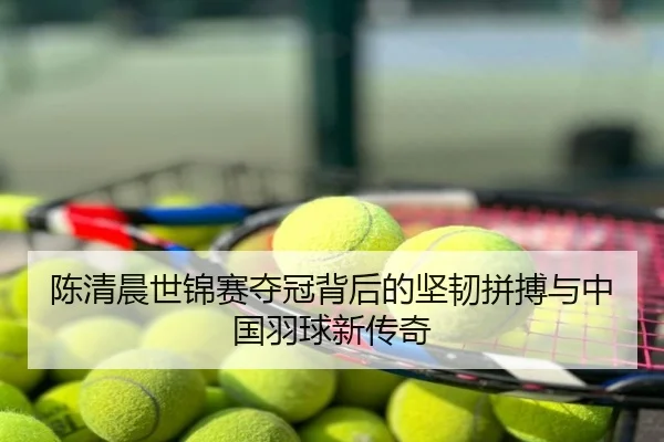 陈清晨世锦赛夺冠背后的坚韧拼搏与中国羽球新传奇