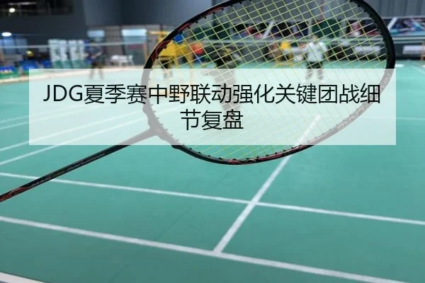 JDG夏季赛中野联动强化关键团战细节复盘