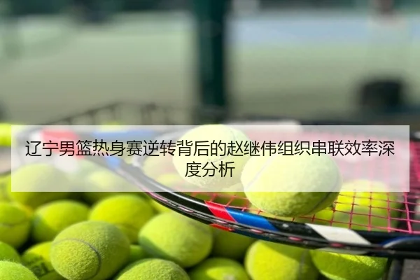辽宁男篮热身赛逆转背后的赵继伟组织串联效率深度分析