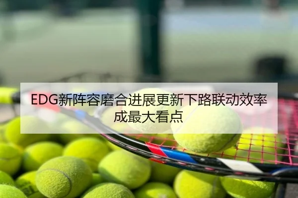 EDG新阵容磨合进展更新下路联动效率成最大看点